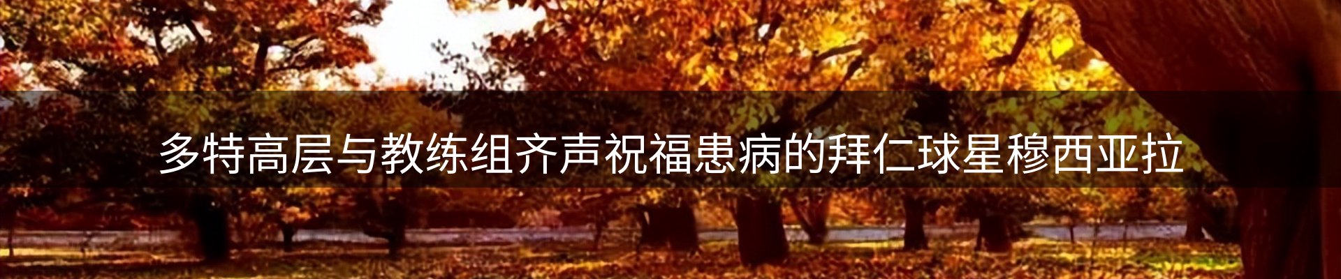 热点焦点